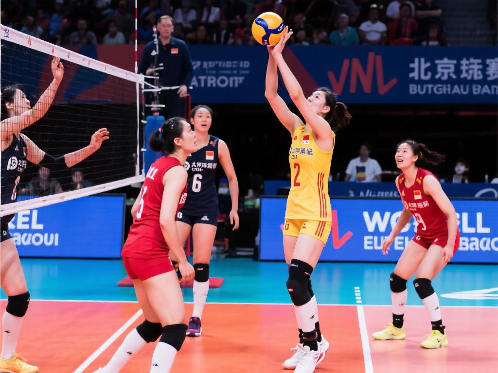 名中锋组成 名中锋组成